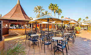 Ulkoterassi, jossa on pöytiä, tuoleja ja aurinkovarjoja. Taustalla on baari katoksella sekä ympäröiviä palmuja. (Tekoälyn luoma teksti)