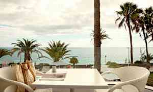 Näkymä terassilta merelle, taustalla palmuja. (Tekoälyn luoma teksti)