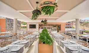 Ulkoterassi ravintola, katetut pöydät ja koristellut kasvit. (Tekoälyn luoma teksti)