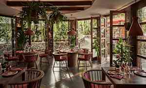 Ravintolan sisäkuva, jossa on puuyksityiskohtia ja kasveja. (Tekoälyn luoma teksti)