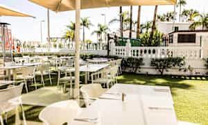 Ulkotila, jossa on asetettu pöytiä ja tuoleja nurmialueelle, ympärillä palmuja ja pensaita. (Tekoälyn luoma teksti)