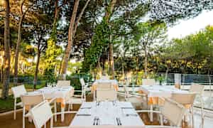 Ulkoalue, jossa on pöytiä ja tuoleja korkeiden puiden alla, katettuna illallista varten. (Tekoälyn luoma teksti)