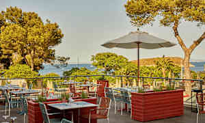 Ravintolaterassi, jolta on näkymä merelle ja männikölle. (Tekoälyn luoma teksti)