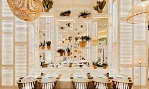 Ravintolan sisustus, jossa pöytiä, tuoleja ja kasveja valoisassa ja modernissa tyylissä. (Tekoälyn luoma teksti)