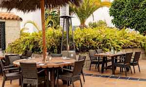 Ulkokäyttöön sopivia istuinryhmiä, joissa on puupöytiä ja rottinkituoleja kasvipohjaisen taustan edessä. (Tekoälyn luoma teksti)