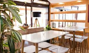 Valoisa ja moderni kahvila, jossa puiset pöydät ja tuolit. Kasvi etualalla. (Tekoälyn luoma teksti)