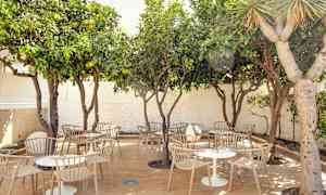 Ulkokalusteet puiden alla ulkotilassa. (Tekoälyn luoma teksti)