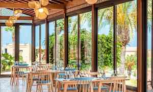 Ravintola, jossa on isot ikkunat ja näkymä palmuihin ja kasveihin. (Tekoälyn luoma teksti)