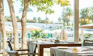 Kuva sisällä katetusta pöydästä, jonka ikkunasta näkyy puita ja aurinkovarjoja aurinkoisella terassilla. (Tekoälyn luoma teksti)