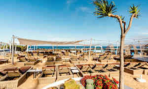 Ulkotila, jossa on aurinkotuoleja ja varjoja lähellä merta. Kaktuksia ja kukkia näkyy etualalla. (Tekoälyn luoma teksti)