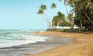 Hiekkaranta, taustalla palmuja ja meri, joka huuhtoo rantaa. (Tekoälyn luoma teksti)