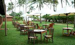 Ulkoterassi, jossa pöytiä ja tuoleja nurmikolla, palmuja ympärillä. (Tekoälyn luoma teksti)