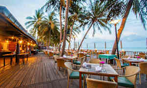 Ravintola ulkoistumapaikoilla puuterassilla, palmujen ympäröimänä ja näkymä merelle. (Tekoälyn luoma teksti)