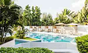 Uima-allasalue, jossa on aurinkotuoleja ja aurinkovarjoja vehreyden ympäröimänä. (Tekoälyn luoma teksti)