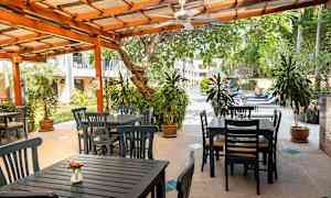 Ulkotila, jossa on puukalusteita ja kasveja uima-altaan vieressä. (Tekoälyn luoma teksti)