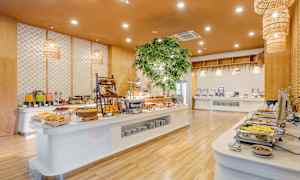 Buffet-pöytä, jossa on erilaisia ruokalajeja ja esillepanoja valoisassa ja kutsuvassa ympäristössä. (Tekoälyn luoma teksti)