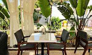 Pöytä, jossa kaksi tuolia ulkona, ympärillä suuria vihreitä kasveja. (Tekoälyn luoma teksti)