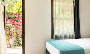 Vaalea huone, jossa sänky ja avoin ikkuna, joka avautuu vehreälle parvekkeelle, jossa kukkia. (Tekoälyn luoma teksti)