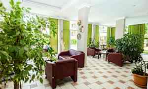 Sisustettu huone, jossa on nahkatuoleja, viherkasveja ruukuissa ja vihreät verhot, jotka päästävät valon sisään suurista ikkunoista. (Tekoälyn luoma teksti)