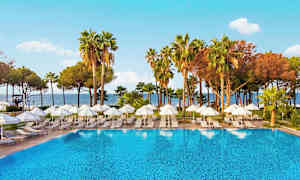 Ulkouima-allas, jonka ympärillä on aurinkotuoleja ja varjoja, palmujen ja puiden ympäröimänä. (Tekoälyn luoma teksti)