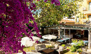 Ulkoalue, jossa on aurinkovarjoja, puita ja istuma-alueita. (Tekoälyn luoma teksti)