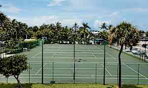 Ulkona oleva tenniskenttä, joka on vihreä ja ympäröity aidalla sekä palmupuilla. (Tekoälyn luoma teksti)