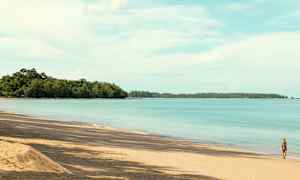 Ranta kultaisella hiekalla, rauhallisella sinisellä merellä ja vehreällä metsällä taustalla. Henkilö kävelee veden äärellä. (Tekoälyn luoma teksti)