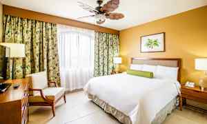 Sviitti, jossa yksi makuuhuone