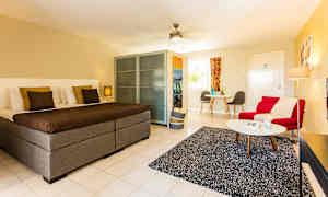 Studio Deluxe, parveke tai terassi