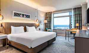 Kahden hengen huone, merinäköala