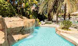 Uima-allas kirkkaalla vedellä, jota ympäröivät palmut ja vihreät kasvit. (Tekoälyn luoma teksti)