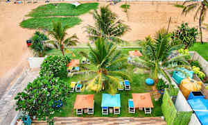 Ranta, jossa on palmuja, aurinkotuoleja ja aurinkovarjoja. Etualalla näkyy allasalue. (Tekoälyn luoma teksti)