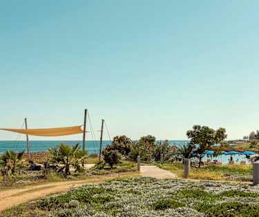 Polyxenia Beach