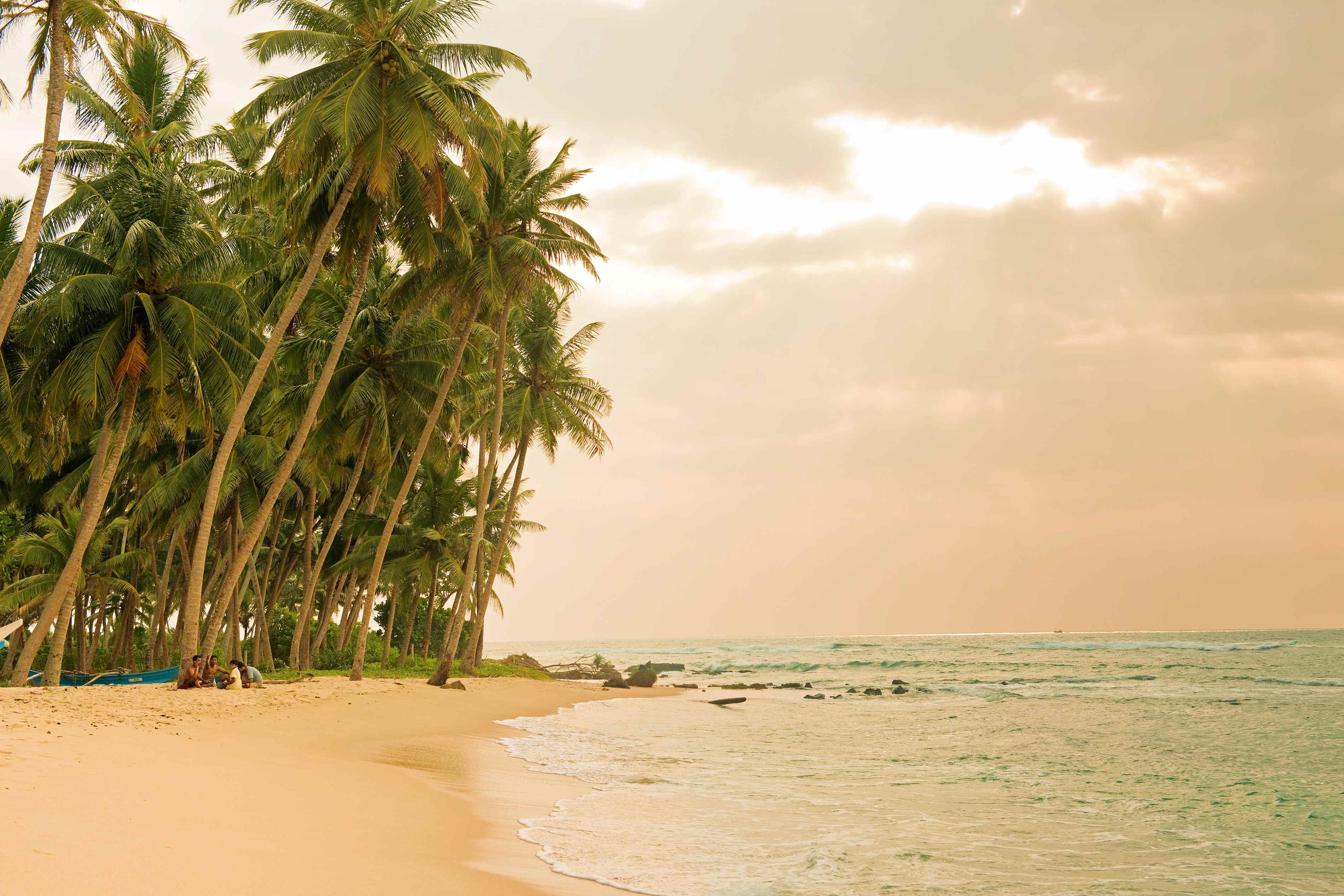 Beruwela - Sri Lanka