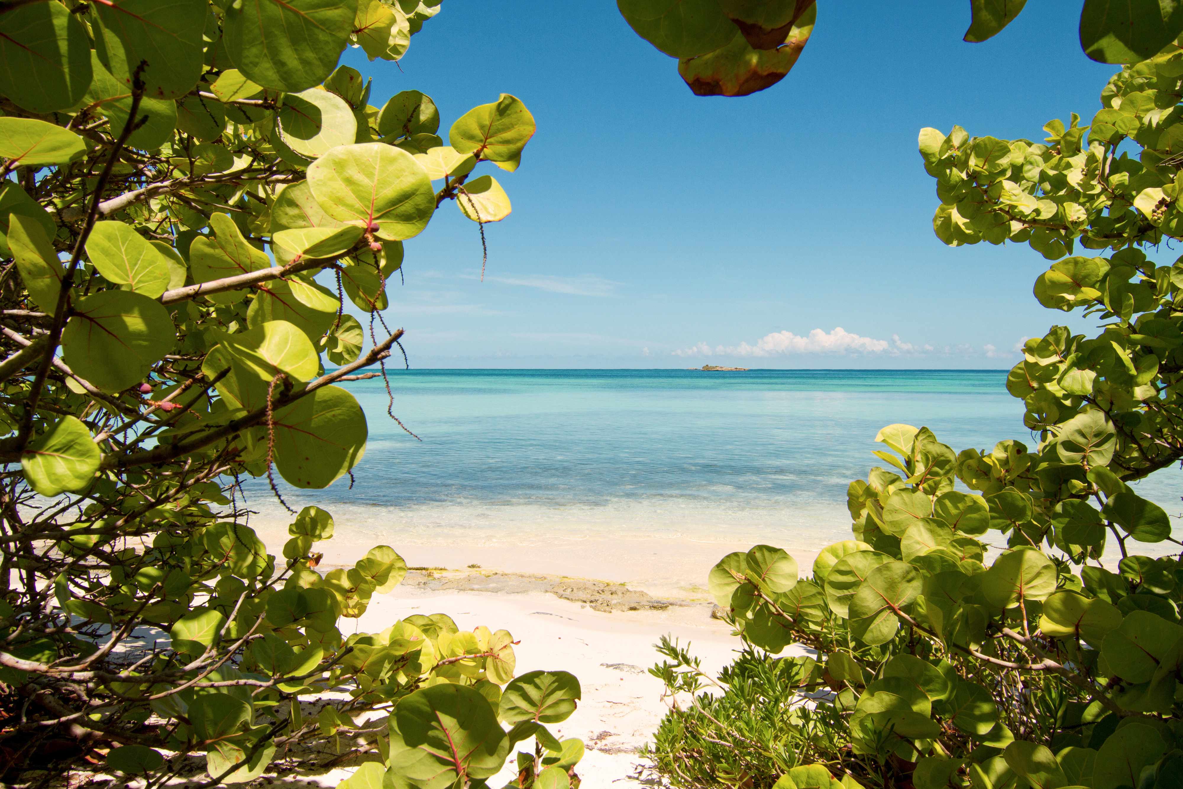 Antigua