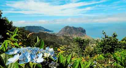Näkymä vuoristomaisemaan, jossa on sininen taivas ja kukkia etualalla. (Tekoälyn luoma teksti)