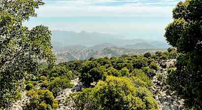 Näkymä metsäiselle vuorenrinteelle vuoret taustalla. (Tekoälyn luoma teksti)