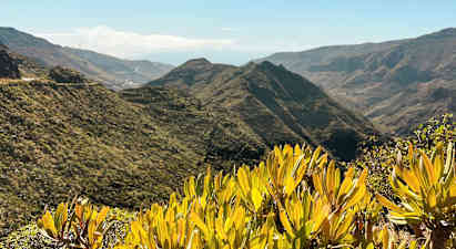Näköala vuoristoiseen maisemaan, jossa on vihreää kasvillisuutta ja pensaita etualalla. (Tekoälyn luoma teksti)