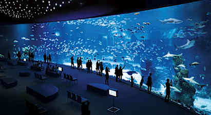 Ihmiset seisovat suuren akvaarion edessä, jossa näkyy erilaisia kaloja ja haita. (Tekoälyn luoma teksti)