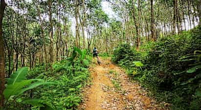 Henkilö pyöräilee metsätietä ylös, ympärillä puita ja vehreyttä. (Tekoälyn luoma teksti)