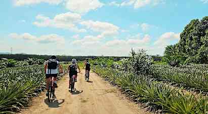 Kolme henkilöä pyöräilee hiekkatiellä trooppisen maiseman halki. (Tekoälyn luoma teksti)