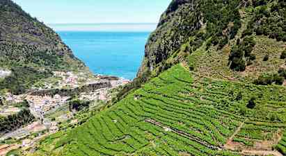 Terassiviljelmiä rinteellä, taustalla rannikkokaupunki ja meri. (Tekoälyn luoma teksti)