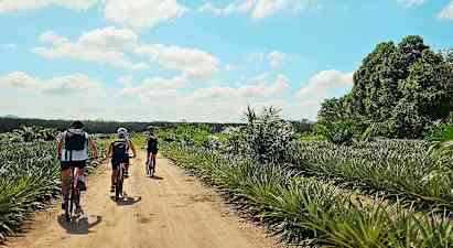 Pohjois-Phuket polkupyörällä