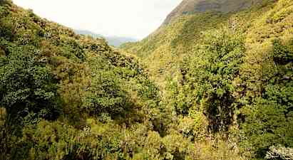 Levada Caldeirao Verde - 13 km