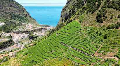 Jeeppisafari Wine & Skywalk – Pohjois-Madeira