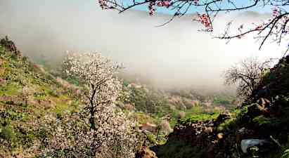 Rocky Adventure Las Lagunetas