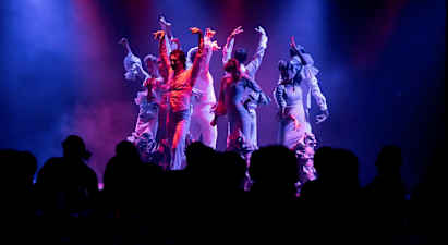 The Olé Flamenco Show – Platinum package