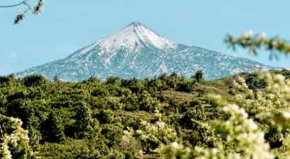 Teide