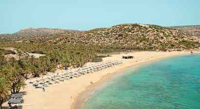 Vai Beach - palmuranta