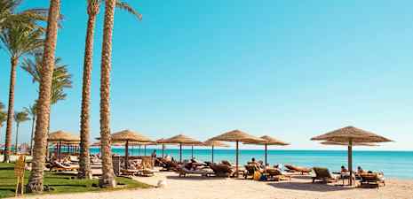 Ranta, jolla on aurinkotuoleja, aurinkovarjoja ja palmupuita etualalla. (Tekoälyn luoma teksti)